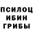 Псилоцибиновые грибы ЛСД Giver Lord
