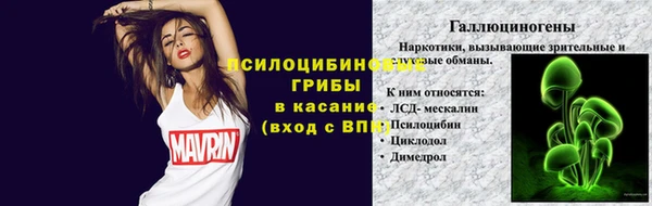 стаф Медвежьегорск