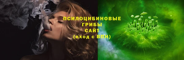 хмурый Мегион