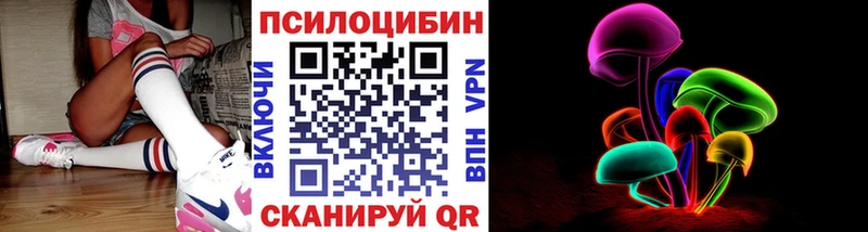 darknet клад  Луза  Псилоцибиновые грибы Psilocybe 