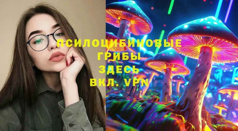 блэк спрут вход  закладки  Луза  Галлюциногенные грибы Magic Shrooms 